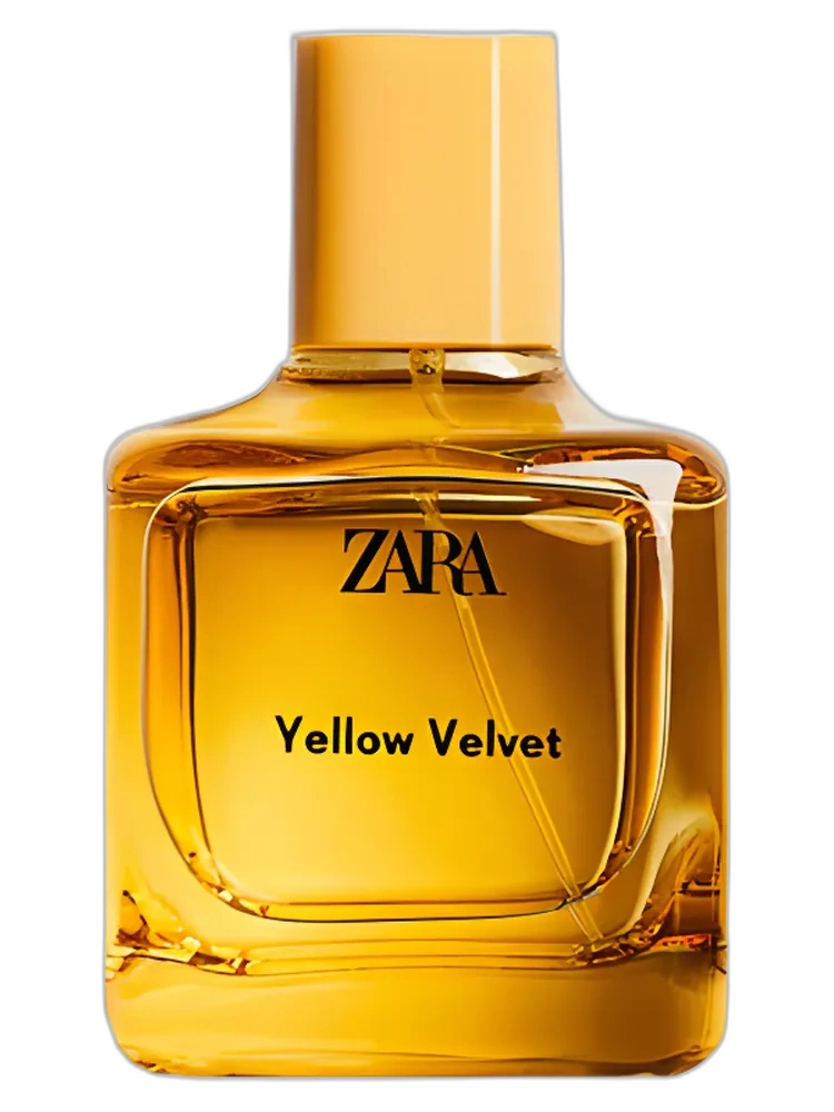 Yellow Velvet 2021 for women