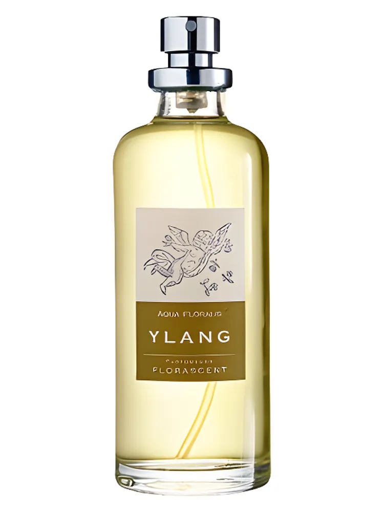 Ylang thumbnail 2