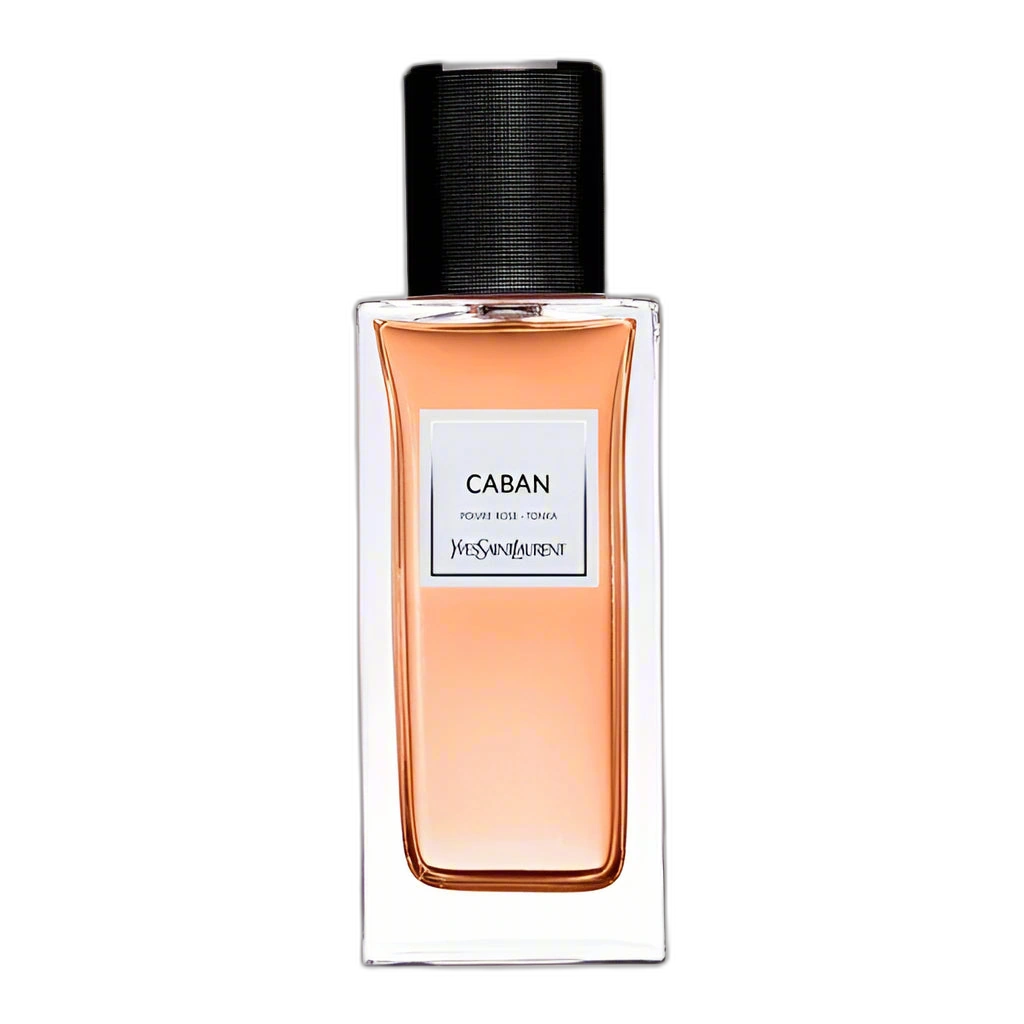 Ysl Caban