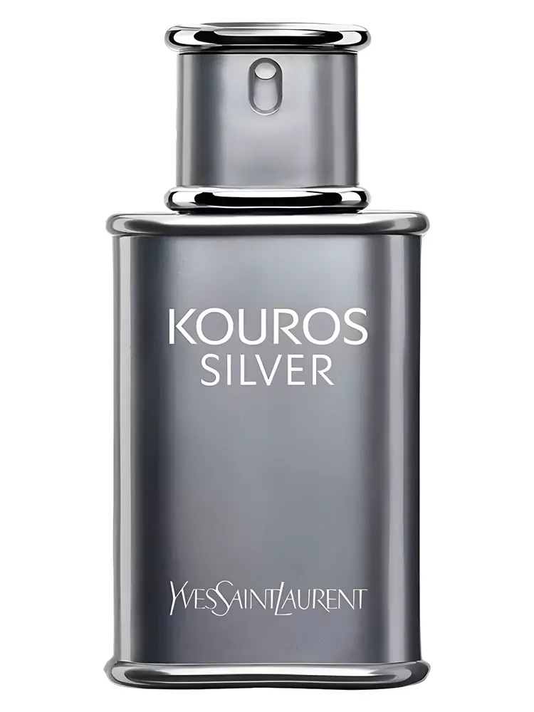 Yves Saint Laurent Kouros Silver for men