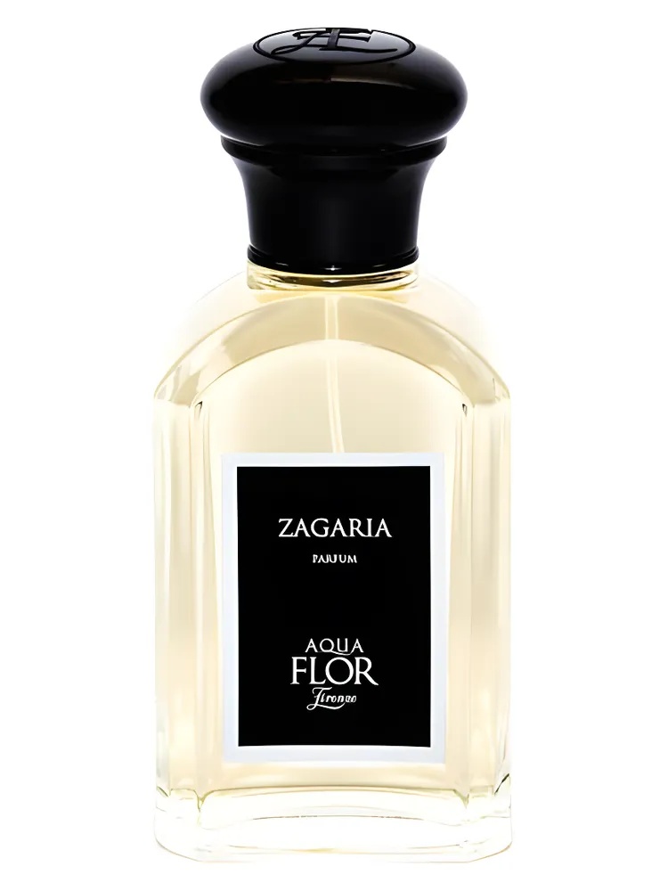 Miniatura 2 de Zagaria