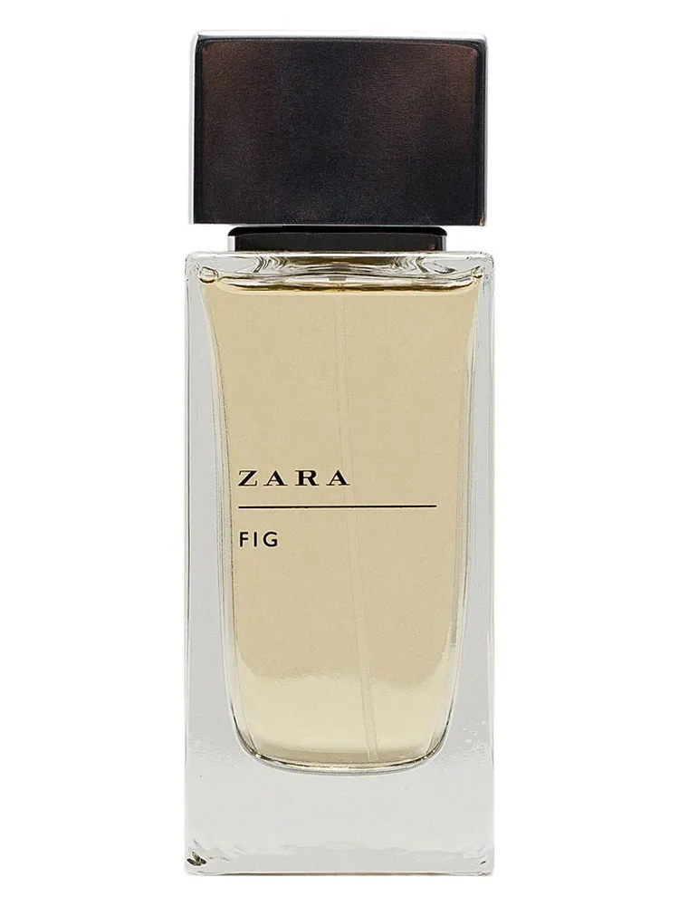 Zara Fig for men