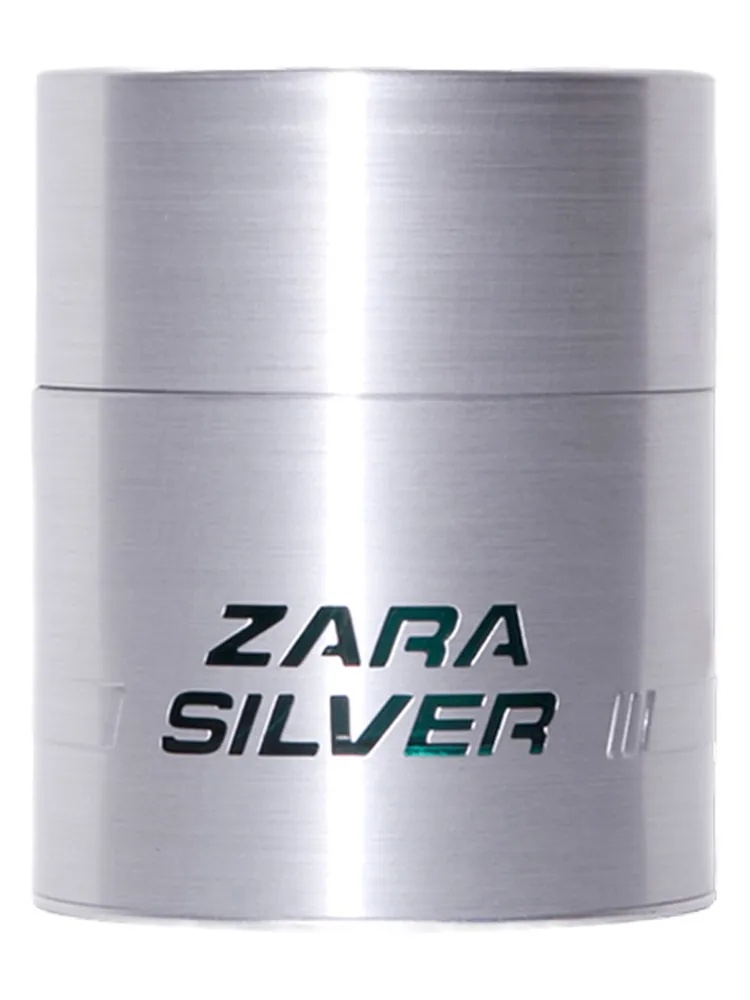 Zara Silver for men