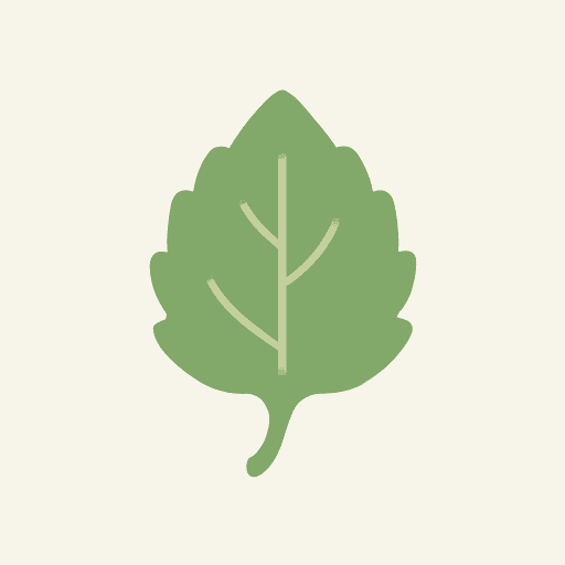 Indonesian Patchouli Leaf