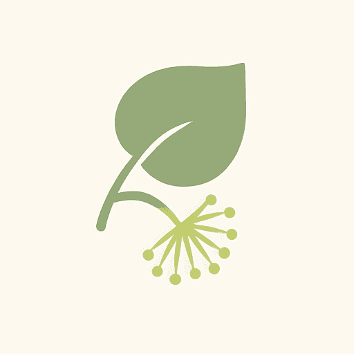 Lime (Linden Blossom)